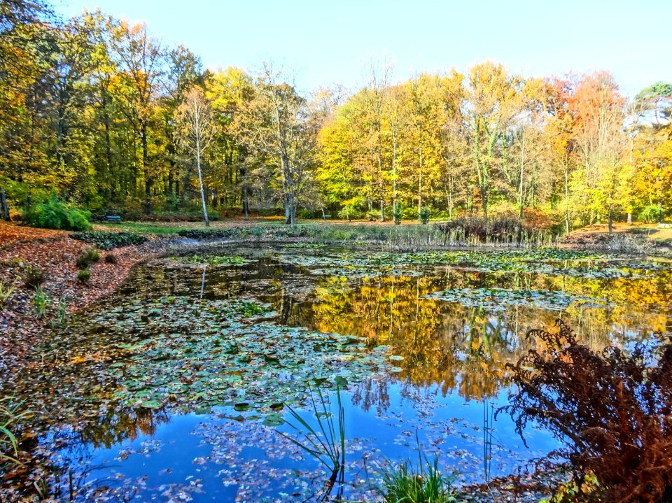 Ostromecko park 25 10-2013