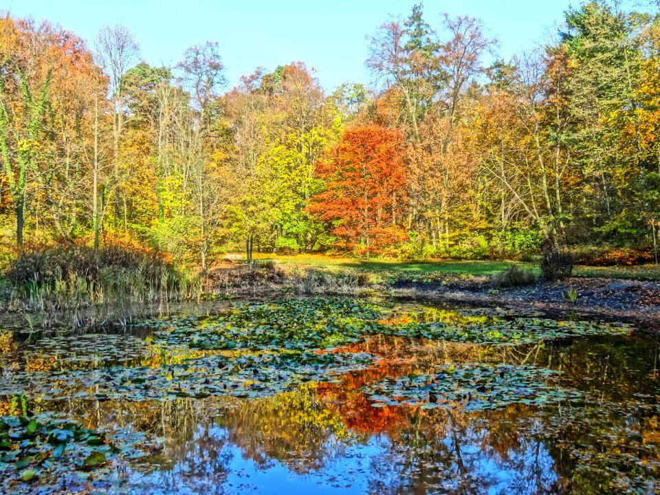 Ostromecko park 22 10-2013