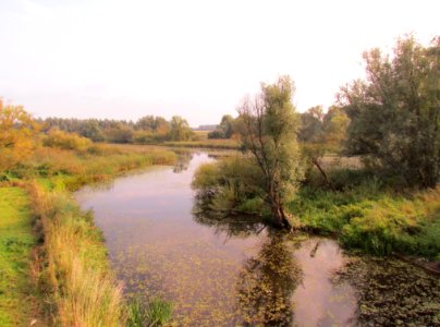 Oude Rijn bij Herwen