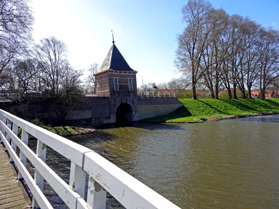 Oude Gouwsboom2 Enkhuizen