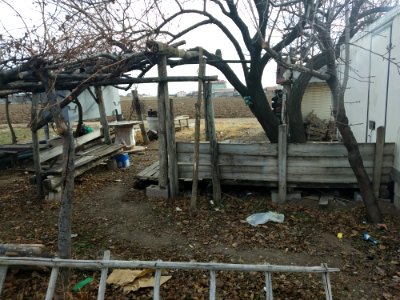 Oturma düzeni