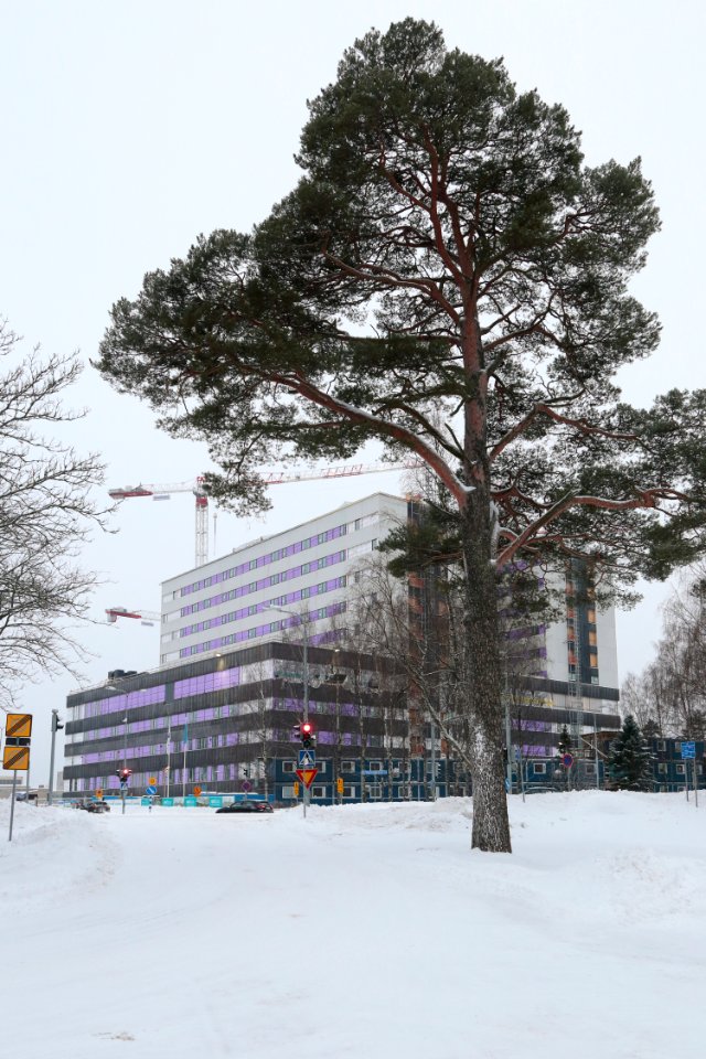 Oulu University Hospital 20210124 02