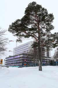 Oulu University Hospital 20210124 02