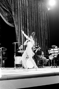 Oudejaarsshow van Josephine Baker in Carre opgenomen, Bestanddeelnr 917-2777