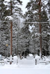 Oulujoki Cemetery 20110227 03