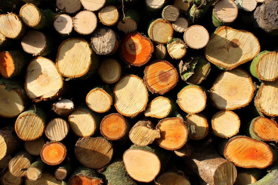 Timber natural fire