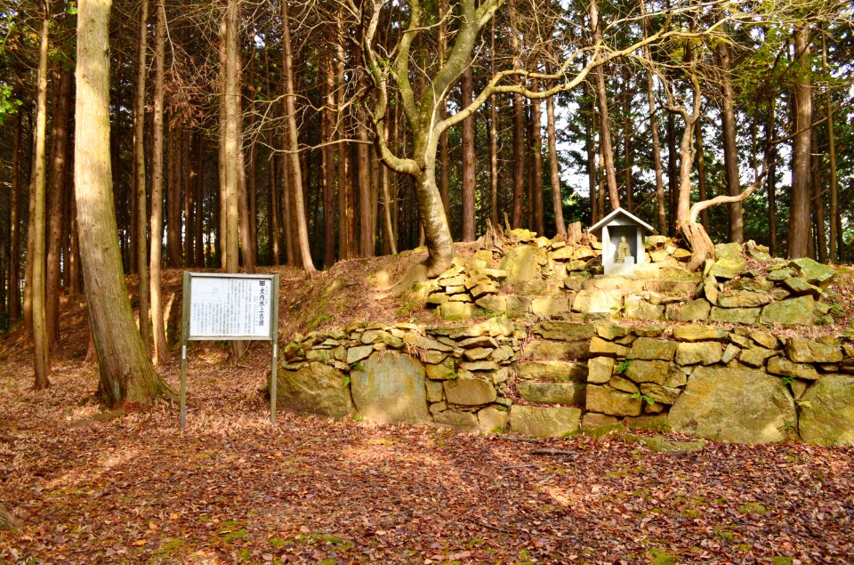 Ouchi Hikami Kofun, zenkei-1