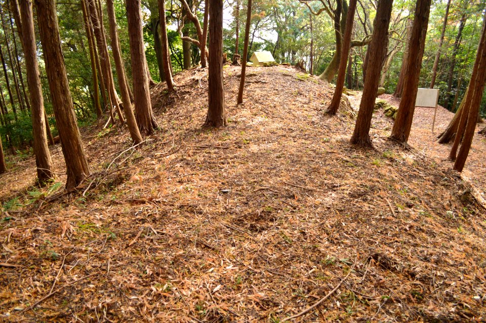 Ouchi Hikami Kofun, kouenbu