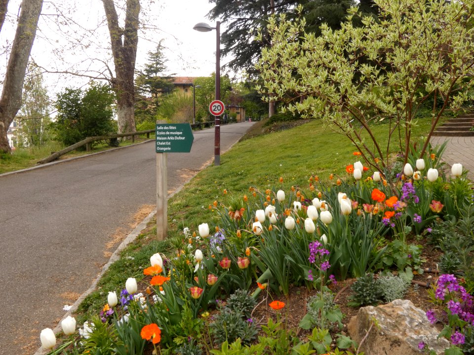 Oullins - Parc Chabrières-Arlès - Fleurs au début du sentier des Symboles
