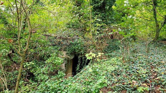 Oud-Valkenburg-Sint-Jansboschgroeve V (6)