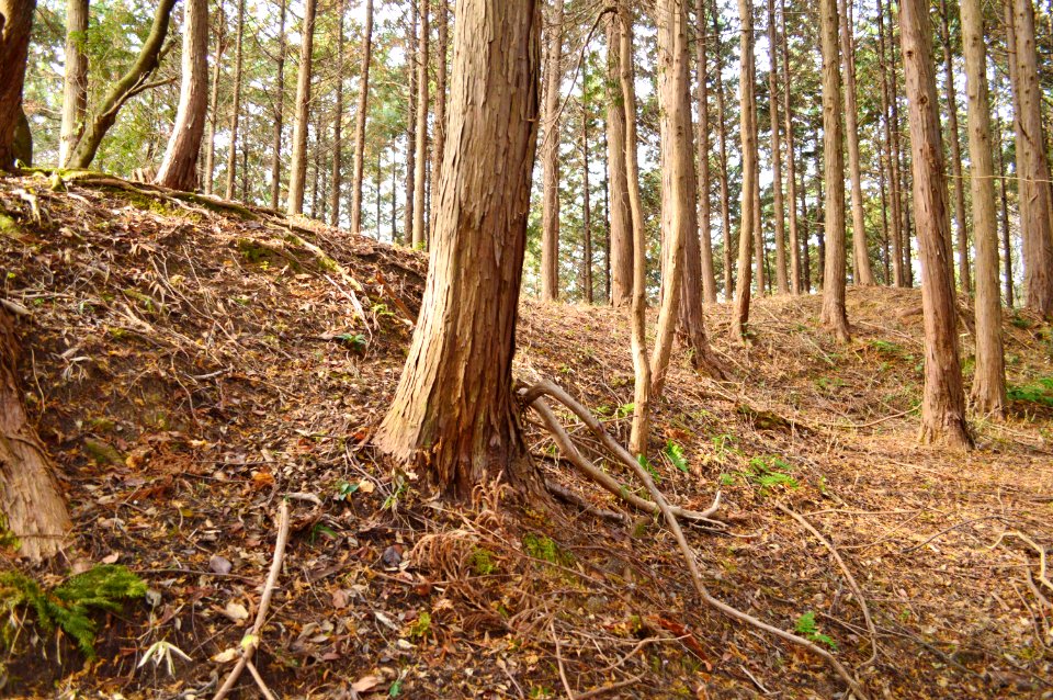 Ouchi Hikami Kofun, zenkei-3