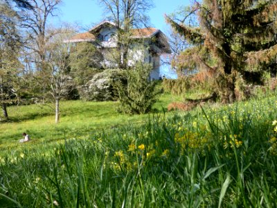 Oullins - Parc Chabrières-Arlès - Vue sur l'Entente des Peintres Oullinois