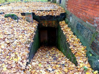 Ostromecko park grob 6 10-2013