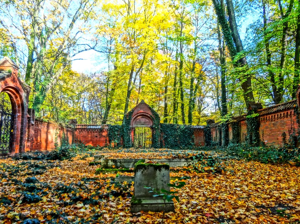 Ostromecko park grob 10 10-2013