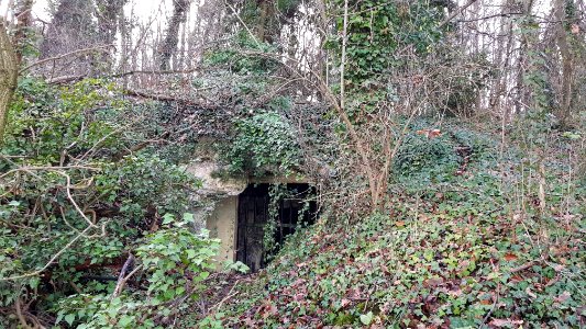 Oud-Valkenburg-Sint-Jansboschgroeve V (2)