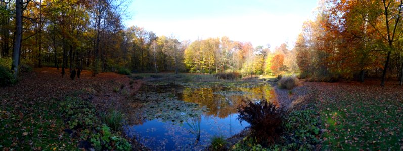 Ostromecko park&palac pnr 8 10-2013