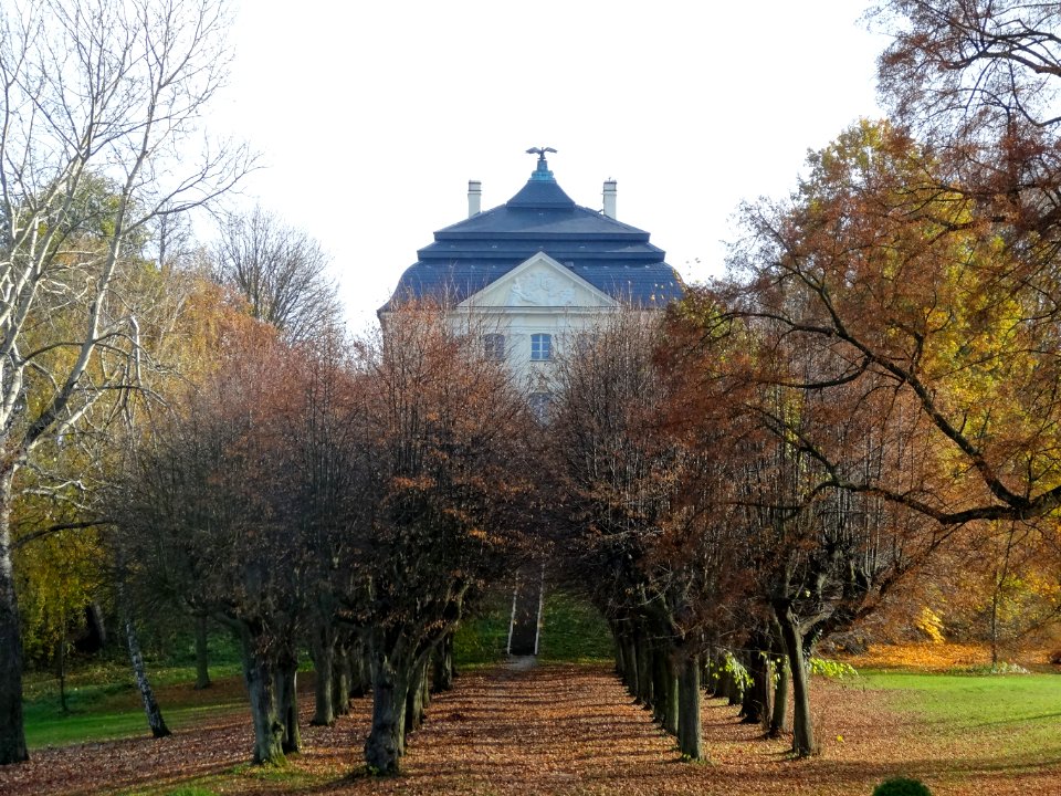 Ostromecko park aleja 8 10-2013