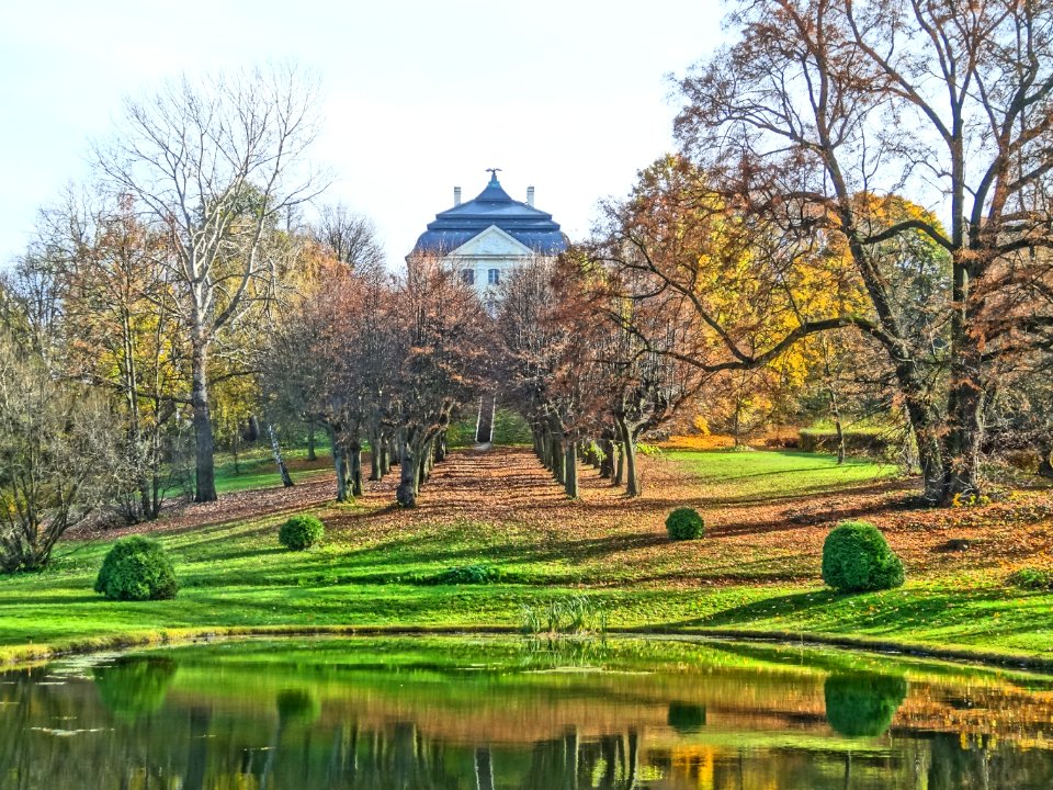 Ostromecko park aleja 7 10-2013