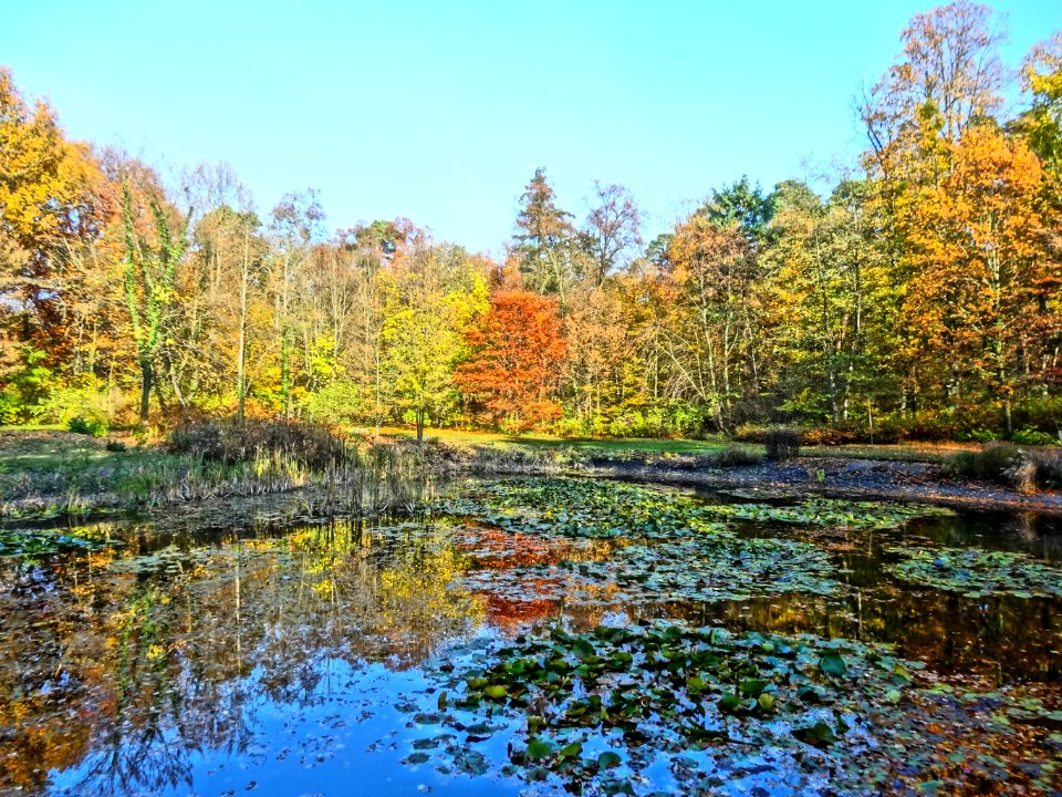 Ostromecko park 20 10-2013
