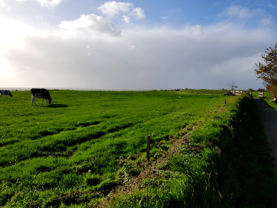 Oudemirdum-Oudemirdumer Klif (4)