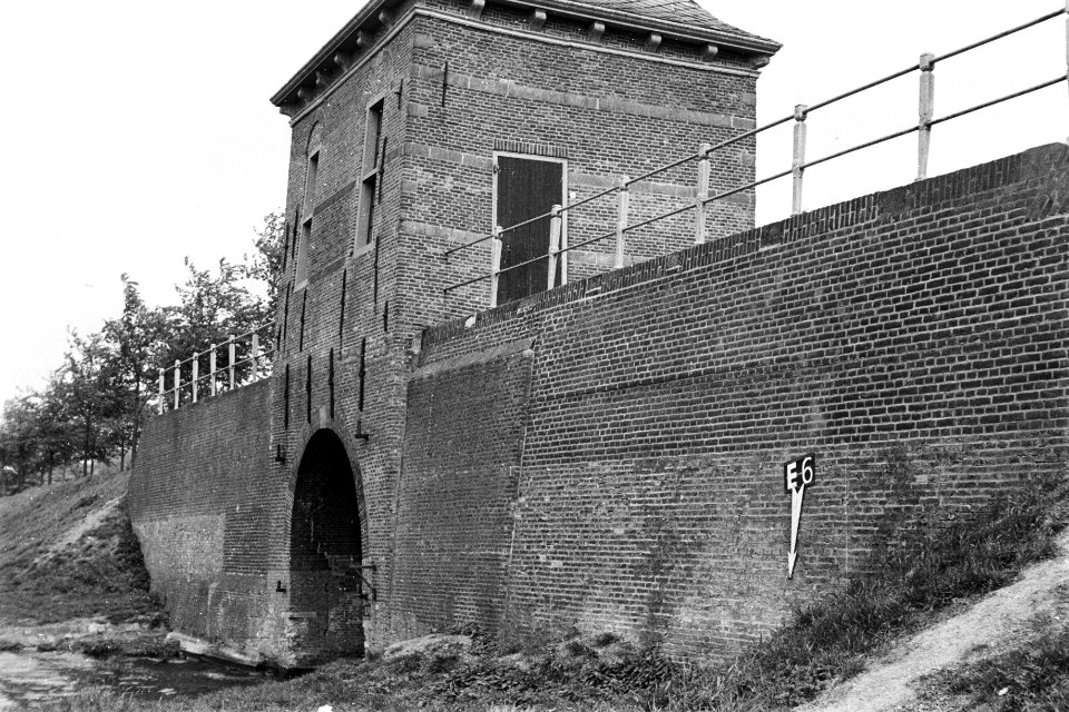 Oude Gouwsboom te Enkhuizen ruilverkaveling Het Grootslag, Bestanddeelnr 170-2116