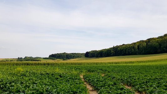 Oud-Valkenburg-Sint-Jansbosch (8)