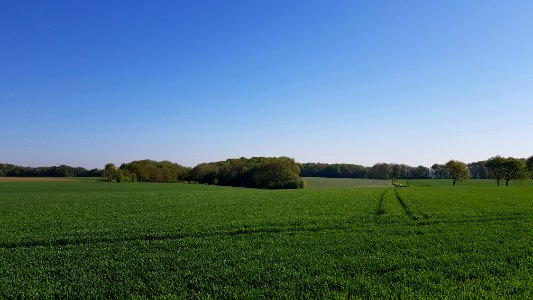 Oud-Valkenburg-Groeve van de Scheve Spar I (7)