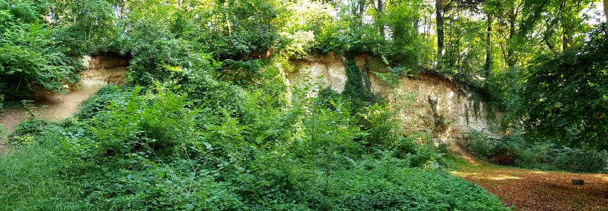 Oud-Valkenburg-Groeve bij de Drie Beeldjes (3)