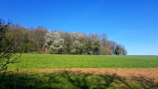 Oud-Valkenburg-Groeve Gerendal (1)