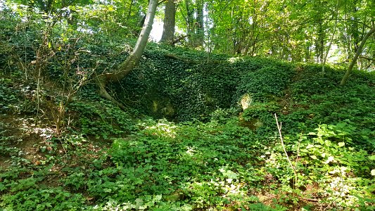 Oud-Valkenburg-Groeve Essenbosch IV (4)