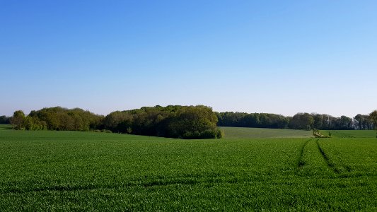 Oud-Valkenburg-Groeve van de Scheve Spar I (8)