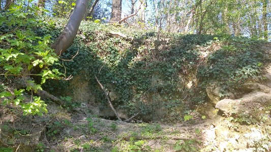 Oud-Valkenburg-Groeve Essenbosch IV (1)