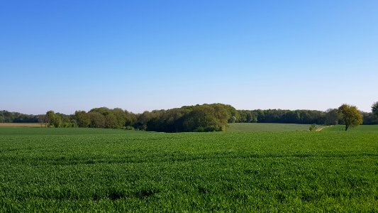 Oud-Valkenburg-Groeve van de Scheve Spar I (5)