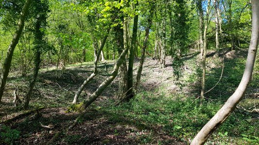 Oud-Valkenburg-Groeve Gerendal (4)