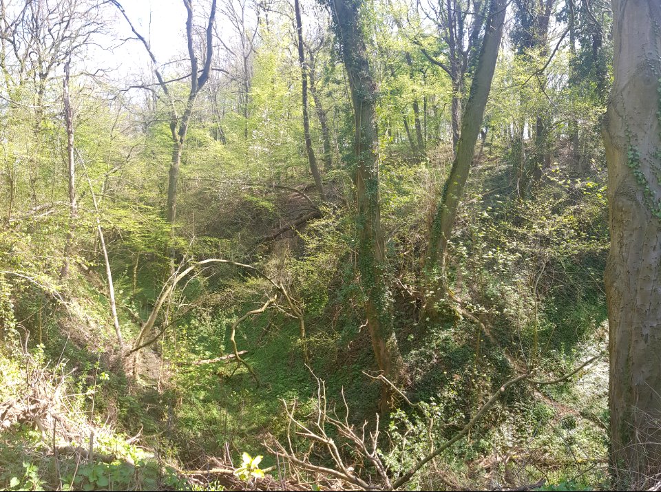 Oud-Valkenburg-Groeve van de Scheve Spar I (1)