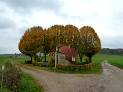 Oud-Valkenburg-Kapel Sint Jansbosweg-Kapelkensveldweg (1)