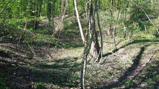 Oud-Valkenburg-Groeve Gerendal (5)