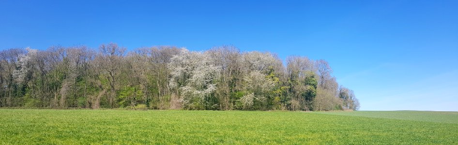 Oud-Valkenburg-Groeve Gerendal (2)