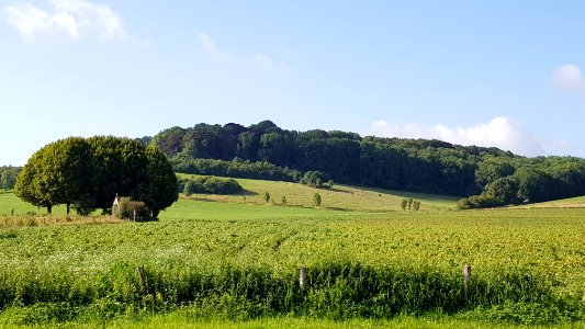 Oud-Valkenburg-Sint-Jansbosch (6)