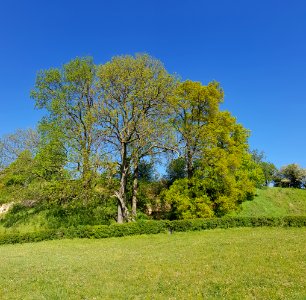 Oud-Valkenburg-Däölkesberg (38)