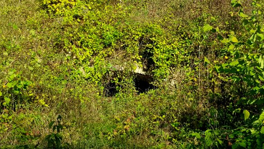 Oud-Valkenburg-Kalkoven Schaelsberg (4)