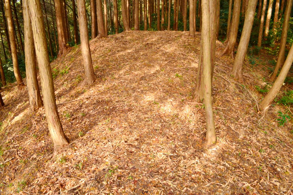 Ouchi Hikami Kofun, zenpoubu