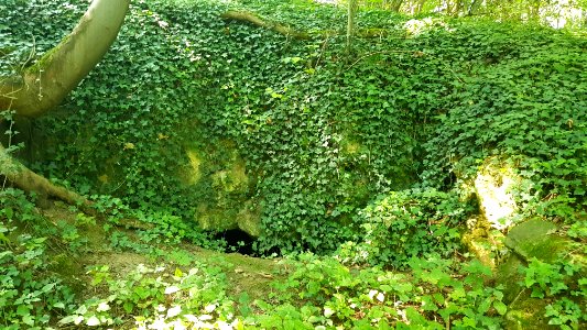 Oud-Valkenburg-Groeve Essenbosch IV (5)