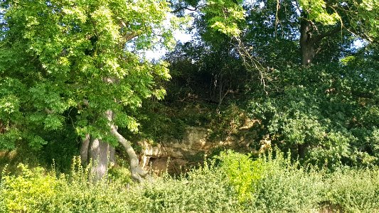 Oud-Valkenburg-Däölkesberg (14)
