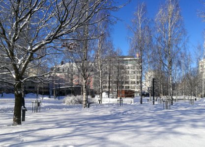 Otto Karhi Park Oulu 20170303