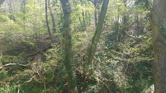 Oud-Valkenburg-Groeve van de Scheve Spar I (3)