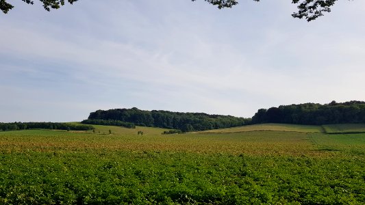 Oud-Valkenburg-Sint-Jansbosch (10)