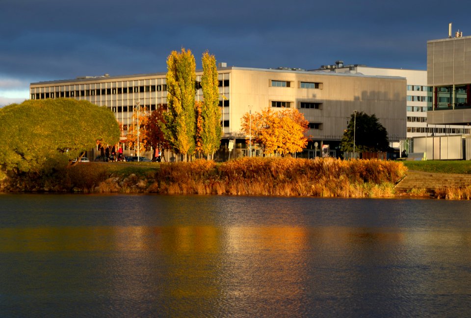 Oulu City Library 20171015