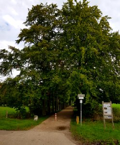 Oud-Valkenburg, Kasteel Schaloen (26)