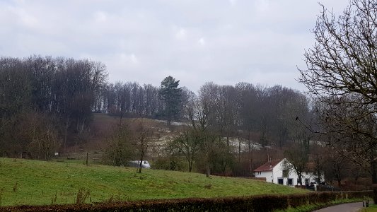 Oud-Valkenburg-Orchideeëntuin Gerendal (6)